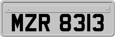 MZR8313