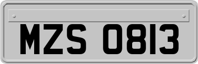 MZS0813