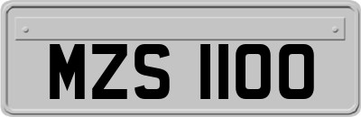 MZS1100