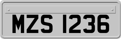 MZS1236