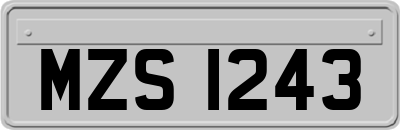 MZS1243