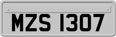 MZS1307