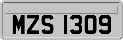 MZS1309