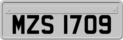 MZS1709