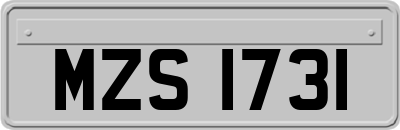 MZS1731