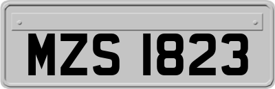 MZS1823