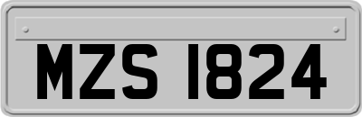 MZS1824