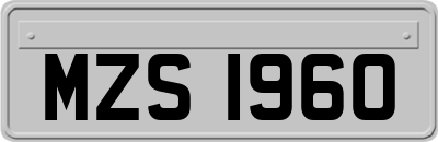 MZS1960