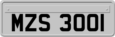 MZS3001