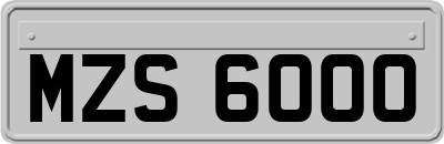 MZS6000