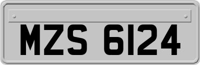 MZS6124