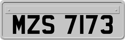 MZS7173