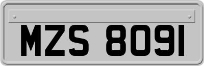 MZS8091