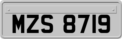 MZS8719