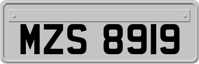 MZS8919