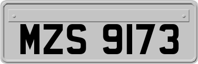 MZS9173