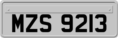 MZS9213