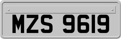 MZS9619