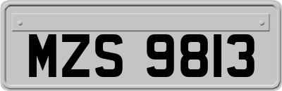 MZS9813