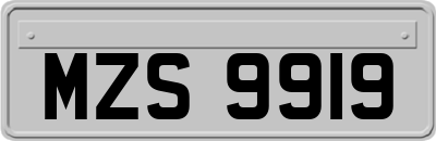 MZS9919