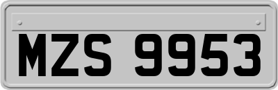 MZS9953