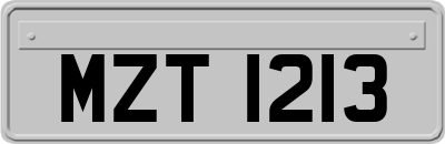 MZT1213