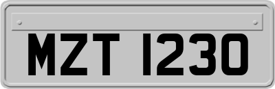 MZT1230