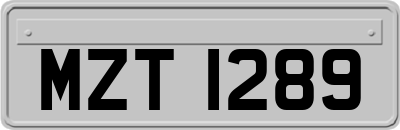 MZT1289