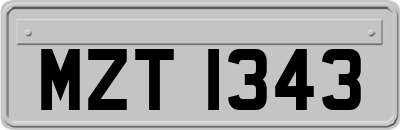 MZT1343