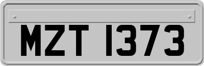 MZT1373