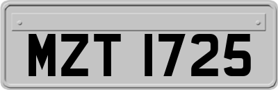 MZT1725