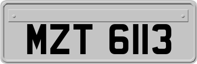 MZT6113