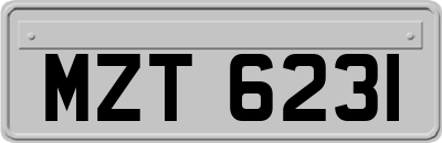 MZT6231