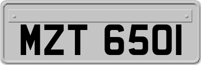 MZT6501