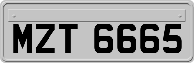 MZT6665