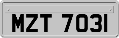 MZT7031