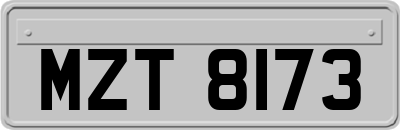 MZT8173