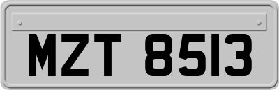 MZT8513