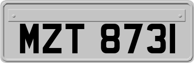 MZT8731