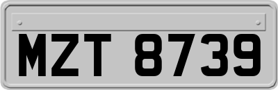 MZT8739