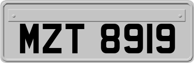 MZT8919