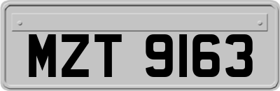 MZT9163