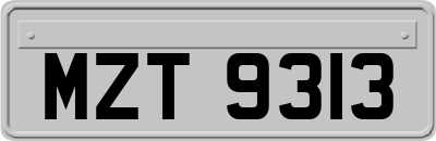 MZT9313