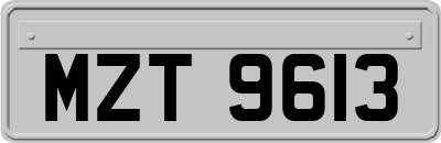 MZT9613