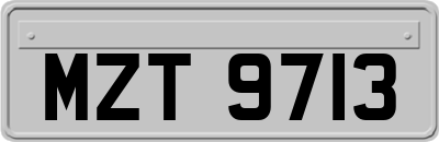 MZT9713