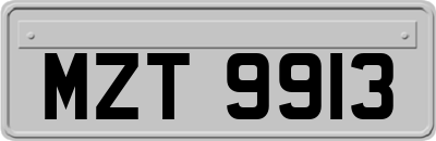 MZT9913