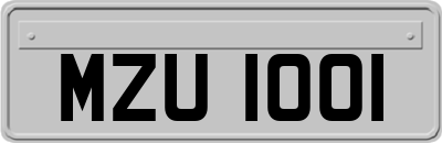 MZU1001