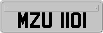 MZU1101