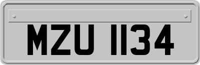 MZU1134