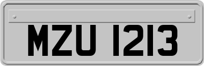 MZU1213